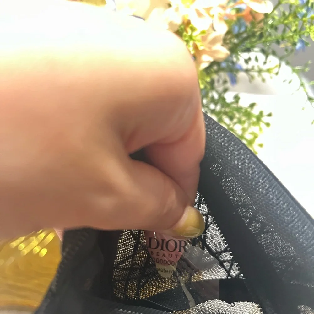 Dior Black Mesh Logo Cosmetic Pouch